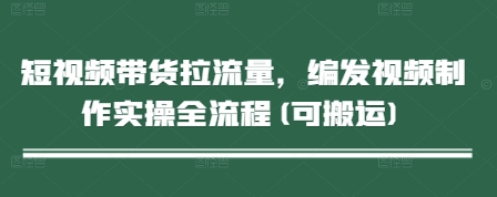 短视频带货拉流量，编发视频制作实操全流程(可搬运)-橙尔网赚two