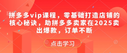 拼多多vip课程，零基础打造店铺的核心秘诀，助拼多多卖家在2025卖出爆款，订单不断-橙尔网赚two