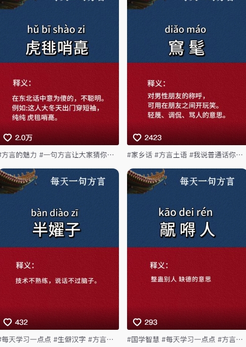 抖音最新涨粉玩法，图文方言暴力涨粉实操，126作品涨粉11W-橙尔网赚two